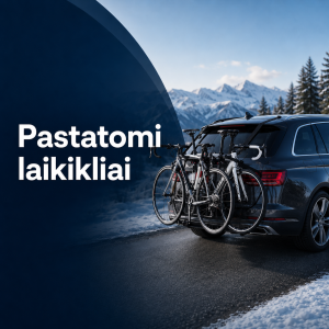 Pastatomi laikikliai
